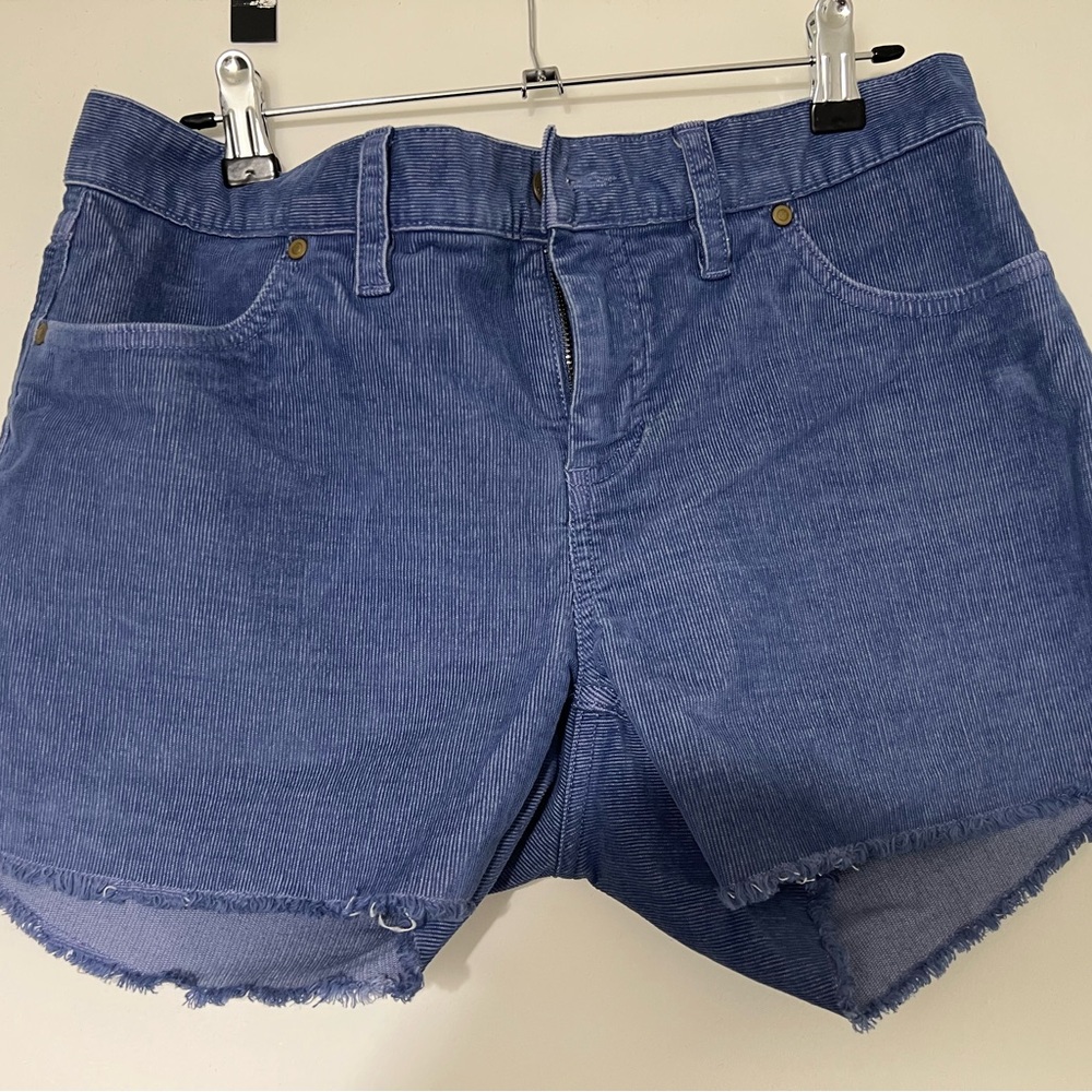 Carve Designs Indigo Jean Shorts